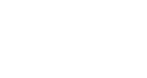 Detroit Watch Company